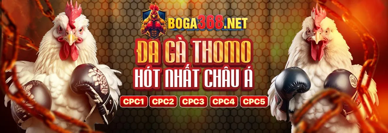 Sảnh Đá Gà Trực Tuyến 39go99 link hôm nay